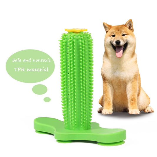 Cactus Teeth Cleaning Dog Toy