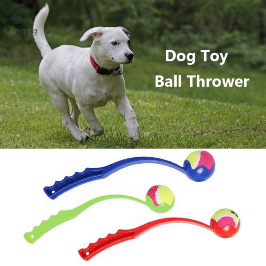 Ball Launcher